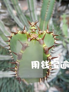 用钱宝逾期一天要还几期 用钱宝逾期一天要还几期