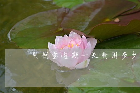 用钱宝逾期一天费用多少 用钱宝逾期一天费用多少