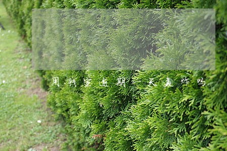 用钱宝逾期一天轰炸吗