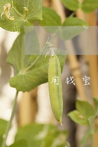 用钱宝逾期一天还了就没有了 用钱宝逾期一天还了就没有了