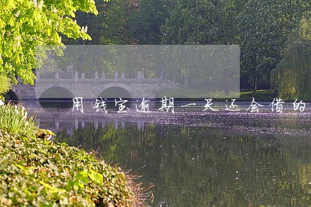 用钱宝逾期一天还会借的吗 用钱宝逾期一天还会借的吗