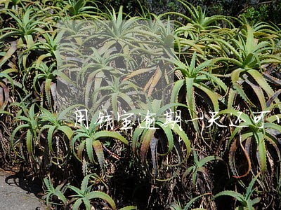 用钱宝逾期一天还可以借吗 用钱宝逾期一天还可以借吗