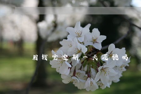 用钱宝逾期一天还稳吗 用钱宝逾期一天还稳吗