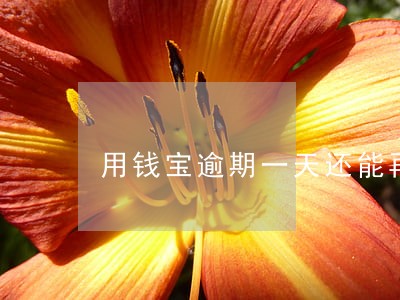 用钱宝逾期一天还能再借吗 用钱宝逾期一天还能再借吗
