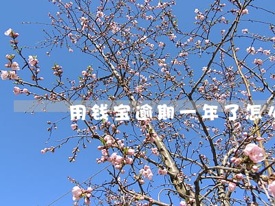 用钱宝逾期一年了怎么办