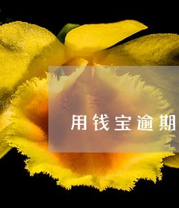 用钱宝逾期一年多 用钱宝逾期一年多