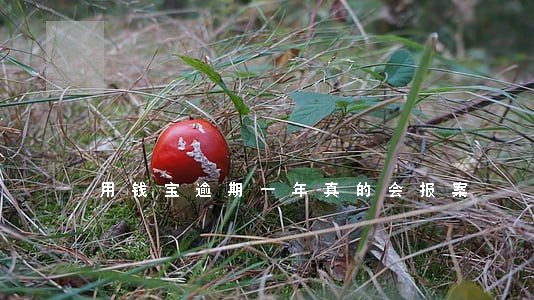 用钱宝逾期一年真的会报案 用钱宝逾期一年真的会报案