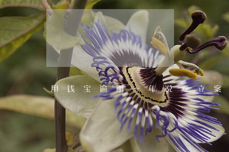 用钱宝逾期一年说要立案侦查 用钱宝逾期一年说要立案侦查