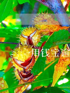 用钱宝逾期一次 用钱宝逾期一次