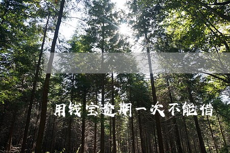 用钱宝逾期一次不能借