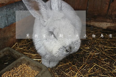 用钱宝逾期一次还能再借