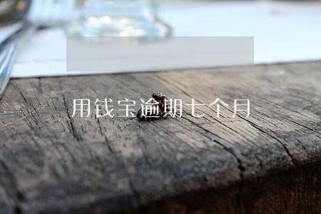 用钱宝逾期七个月 用钱宝逾期七个月
