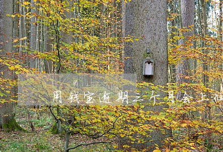 用钱宝逾期三个月会上征信吗