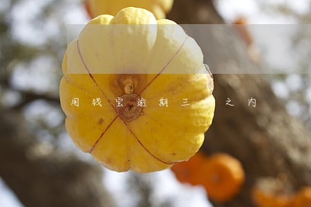 用钱宝逾期三天之内 用钱宝逾期三天之内