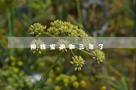 用钱宝逾期三年了 用钱宝逾期三年了