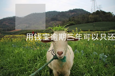 用钱宝逾期三年可以只还本金吗 用钱宝逾期三年可以只还本金吗