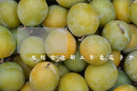 用钱宝逾期三年要还多少