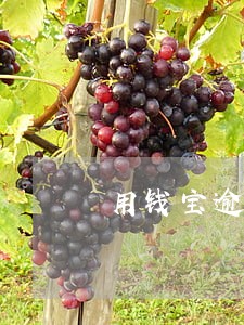 用钱宝逾期三次
