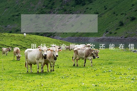 用钱宝逾期三次还能在借款吗 用钱宝逾期三次还能在借款吗
