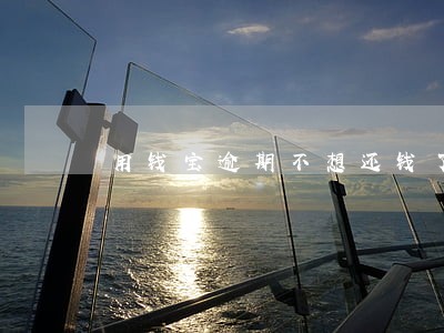 用钱宝逾期不想还钱了