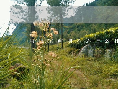 用钱宝逾期不还怎么样 用钱宝逾期不还怎么样