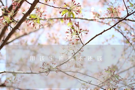 用钱宝逾期不还钱 用钱宝逾期不还钱