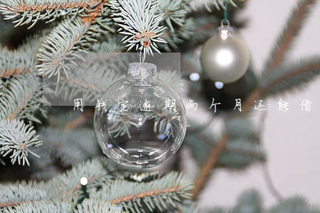 用钱宝逾期两个月还能借吗 用钱宝逾期两个月还能借吗