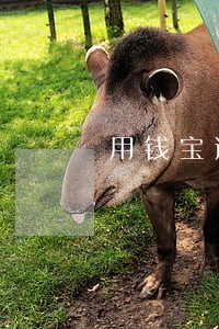 用钱宝逾期两天会怎样 用钱宝逾期两天会怎样