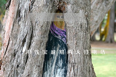 用钱宝逾期两天打电话 用钱宝逾期两天打电话