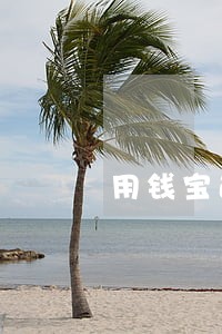 用钱宝逾期两年了今天打电话了 用钱宝逾期两年了今天打电话了