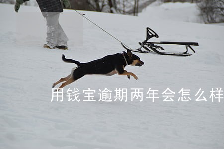 用钱宝逾期两年会怎么样 用钱宝逾期两年会怎么样