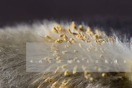用钱宝逾期两月还能撸出来不 用钱宝逾期两月还能撸出来不