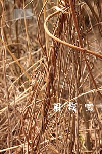 用钱宝逾期严重 用钱宝逾期严重
