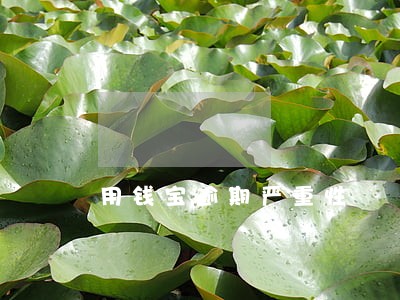 用钱宝逾期严重性 用钱宝逾期严重性