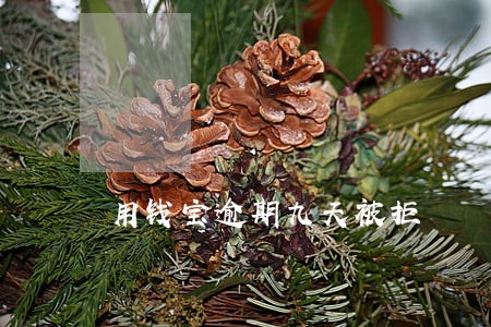 用钱宝逾期九天被拒 用钱宝逾期九天被拒