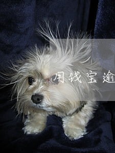 用钱宝逾期乱发信息 用钱宝逾期乱发信息