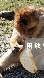 用钱宝逾期了1274天 用钱宝逾期了1274天