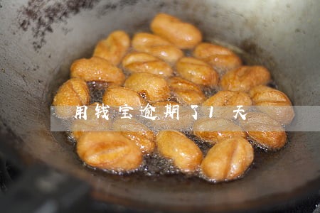用钱宝逾期了1天 用钱宝逾期了1天