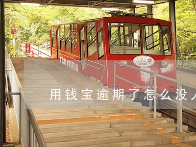 用钱宝逾期了怎么没人追债