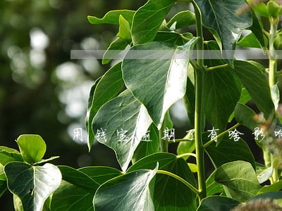 用钱宝逾期了有啥影响