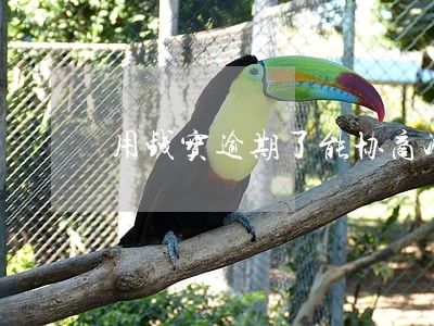 用钱宝逾期了能协商减免吗 用钱宝逾期了能协商减免吗