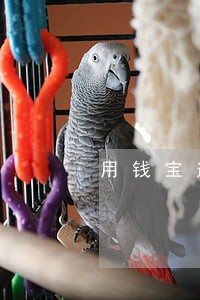 用钱宝逾期了还款怎么办 用钱宝逾期了还款怎么办