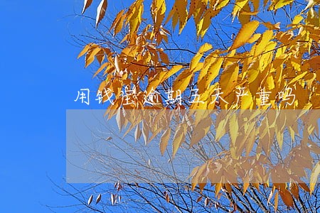 用钱宝逾期五天严重吗