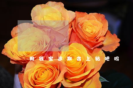 用钱宝逾期会上贴吧吗 用钱宝逾期会上贴吧吗