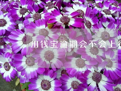 用钱宝逾期会不会上征信 用钱宝逾期会不会上征信