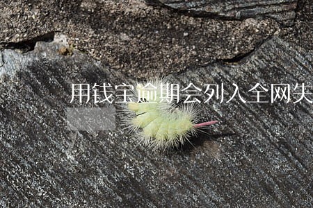 用钱宝逾期会列入全网失信人员吗 用钱宝逾期会列入全网失信人员吗