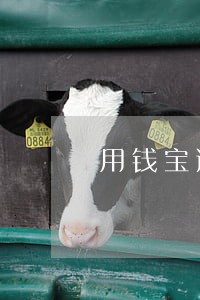 用钱宝逾期会寄什么吗
