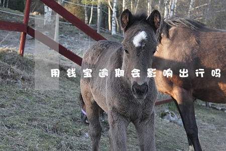 用钱宝逾期会影响出行吗 用钱宝逾期会影响出行吗