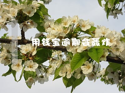 用钱宝逾期会轰炸 用钱宝逾期会轰炸