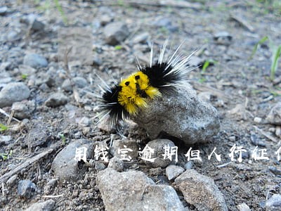 用钱宝逾期但人行征信没记录 用钱宝逾期但人行征信没记录